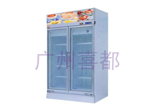 Double doors open display freezerXID-C20